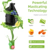 Electric Juicer Machine Juice Fruit Squeezer Slow Masticating Brush Pulp Cup UK✨