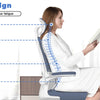 Mesh Office Chair Wheels Adjustable Ergonomic Desk Chair with Lumbar Support ✨