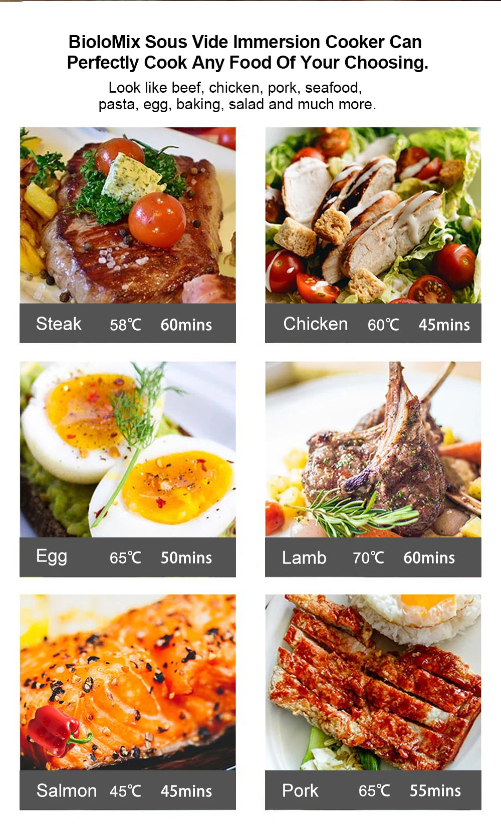 BioloMix 220V WIFI Sous Vide Slow Cooker Immersion Circulator SV9008 Tool CF UK
