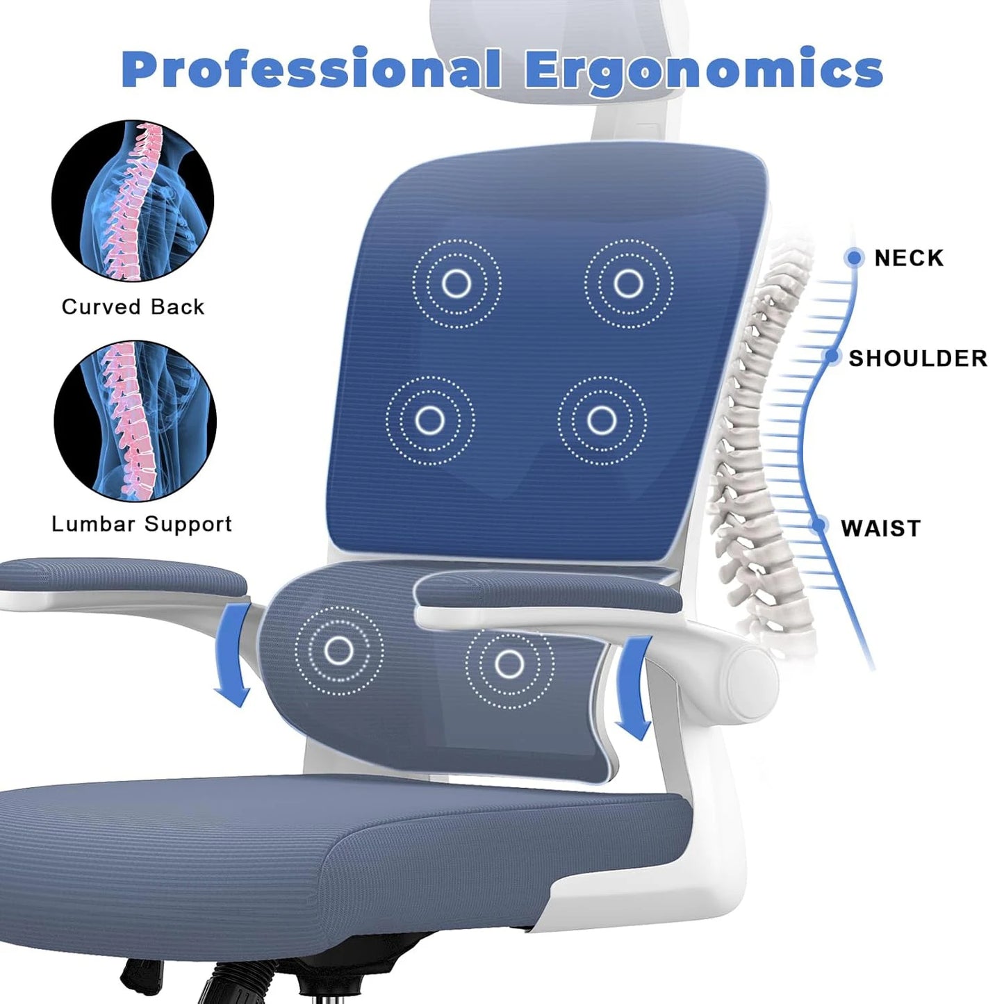 Mesh Office Chair Wheels Adjustable Ergonomic Desk Chair with Lumbar Support ✨